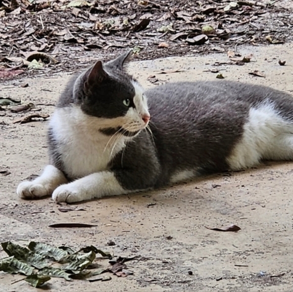 LIVE SHOW NOTIFICATION @jems_menagierie - Picture 6 of 11